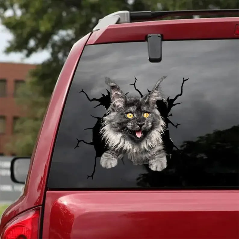 Maine Coon Cat Decal