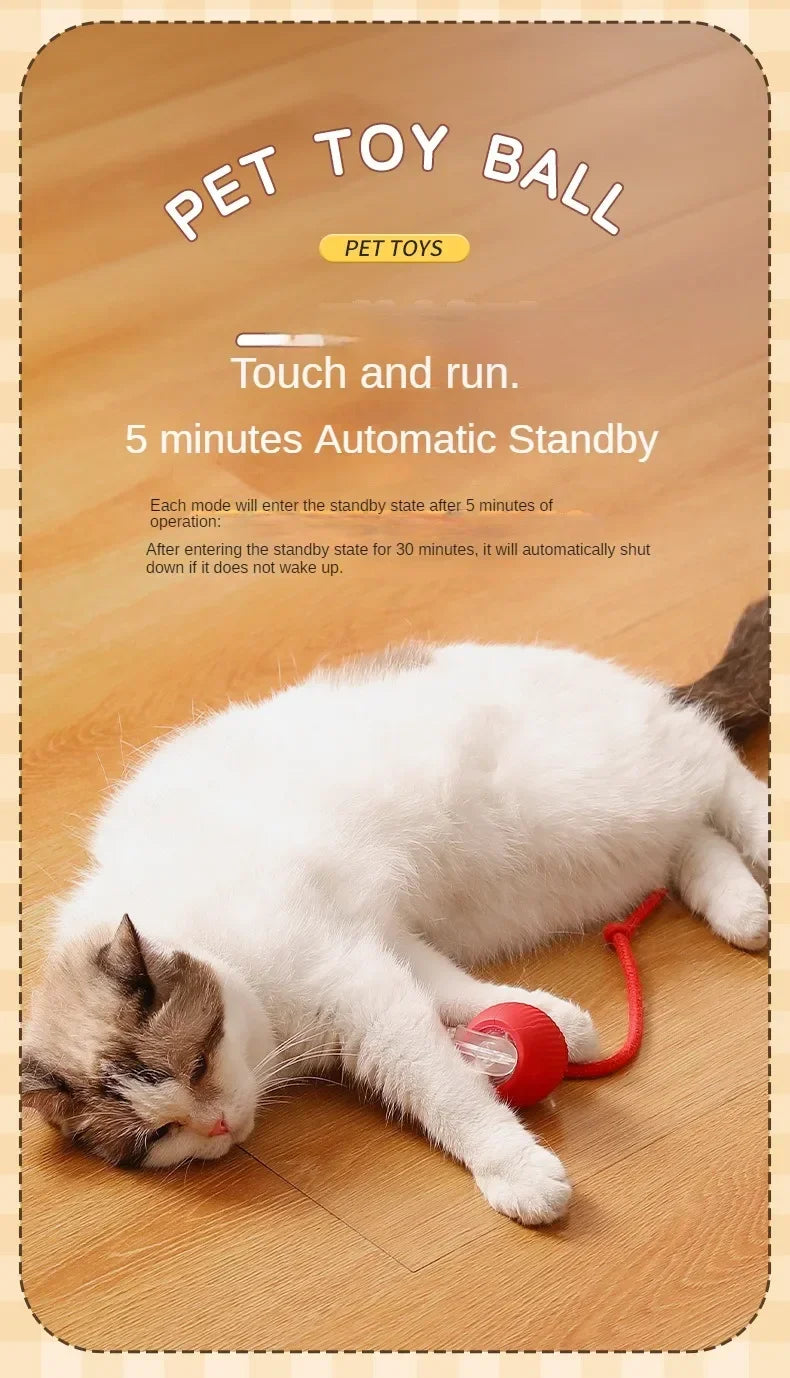 Cat/Dog Interactive Ball Toy Automatic
