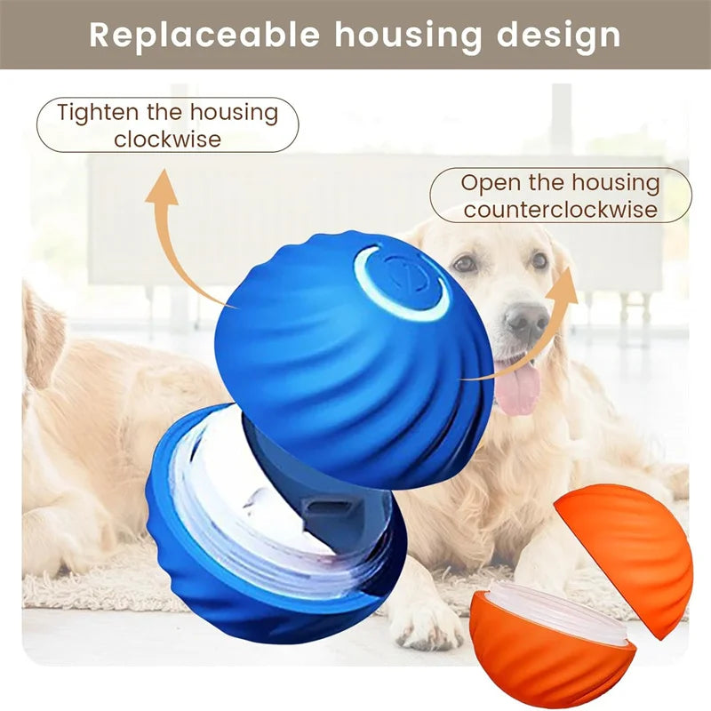Smart Dog/Cat Toy
