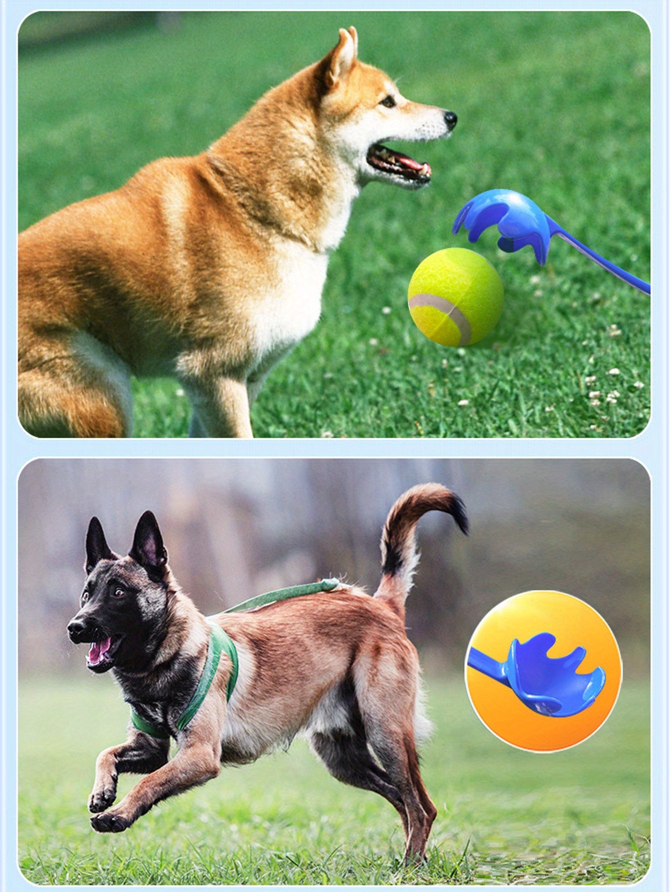 Interactive Dog Fetch Toy
