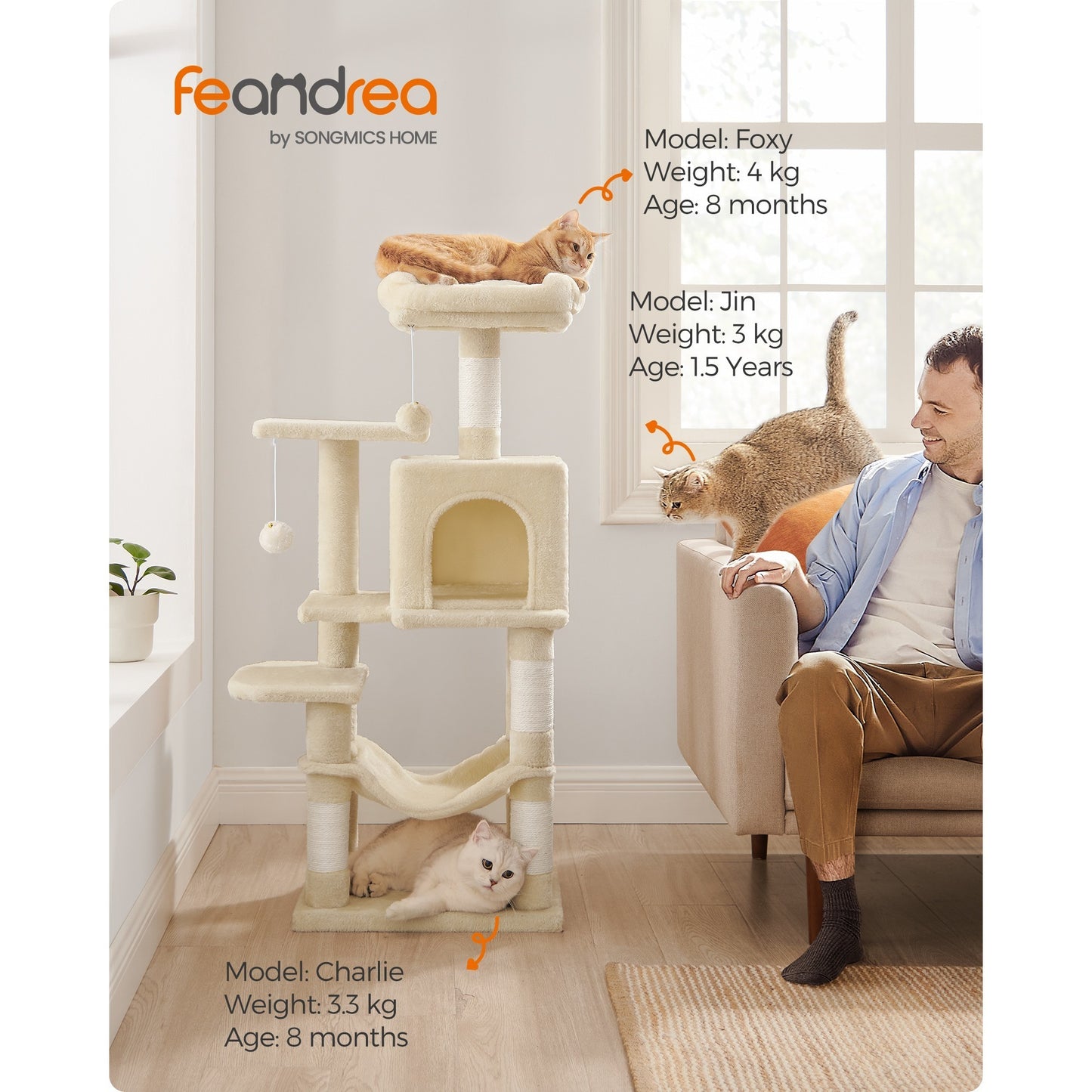 Multi-Level Cat Tree