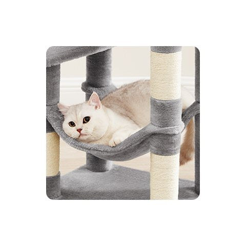 Multi-Level Cat Tree
