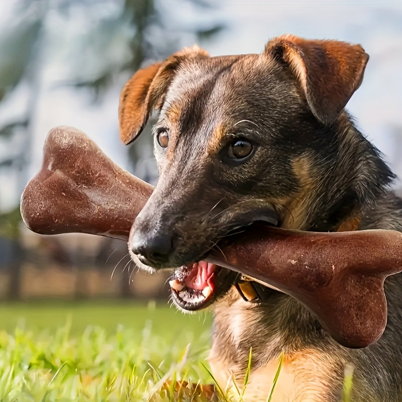 Beef-Flavoured Durable Chew Toy for Dogs
