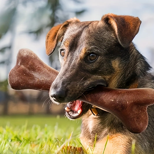 Beef-Flavoured Durable Chew Toy for Dogs