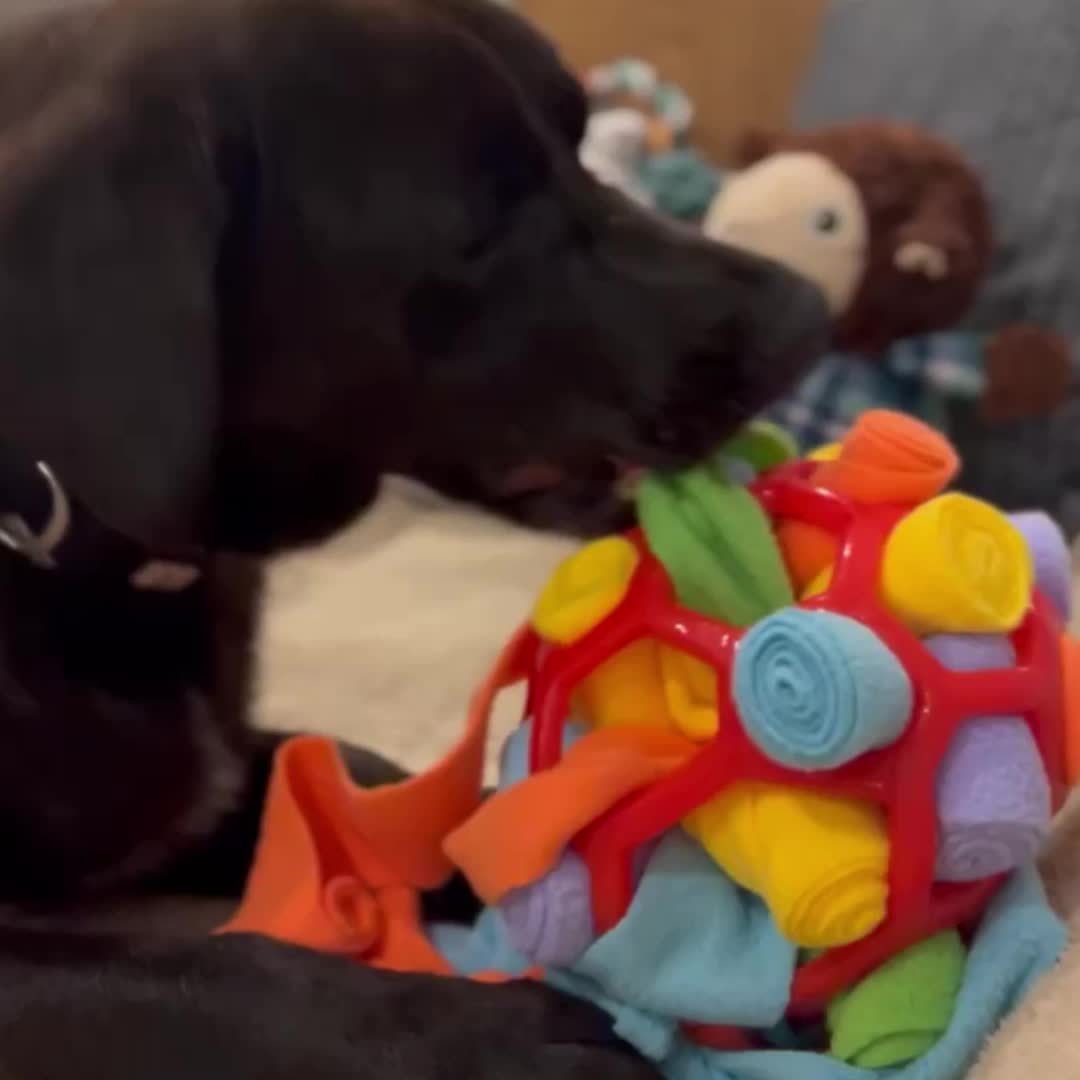 Sniffing Ball Dog Toys Interactive Puzzle Dog